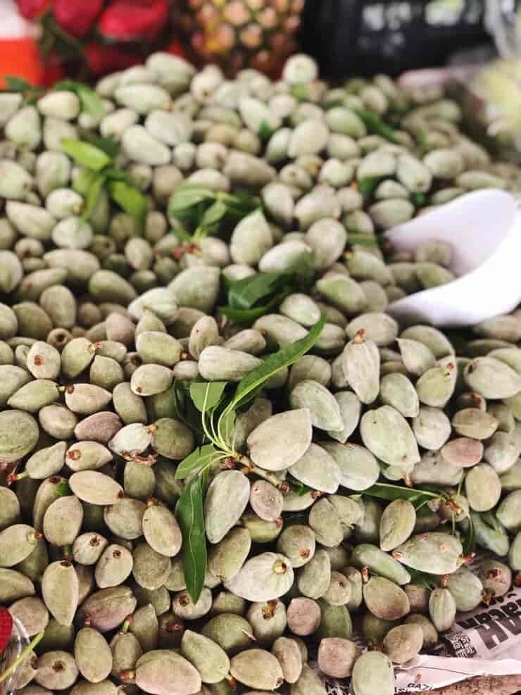 تصویر 2 از خرید بادام درختی نرسیده + بهترین قیمت